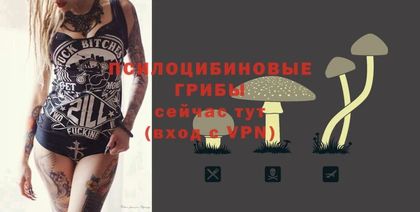 бутират Медвежьегорск