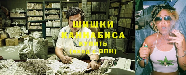 сатива Мегион