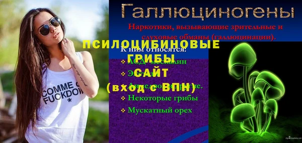 сатива Мегион