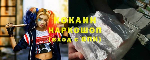 сатива Мегион
